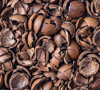 Argan Shells