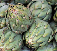 Artichoke Leaf Extract