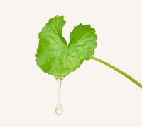 Centella Asiatica Extract
