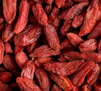 Goji Berry