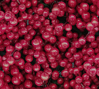 Pink PepperSlim