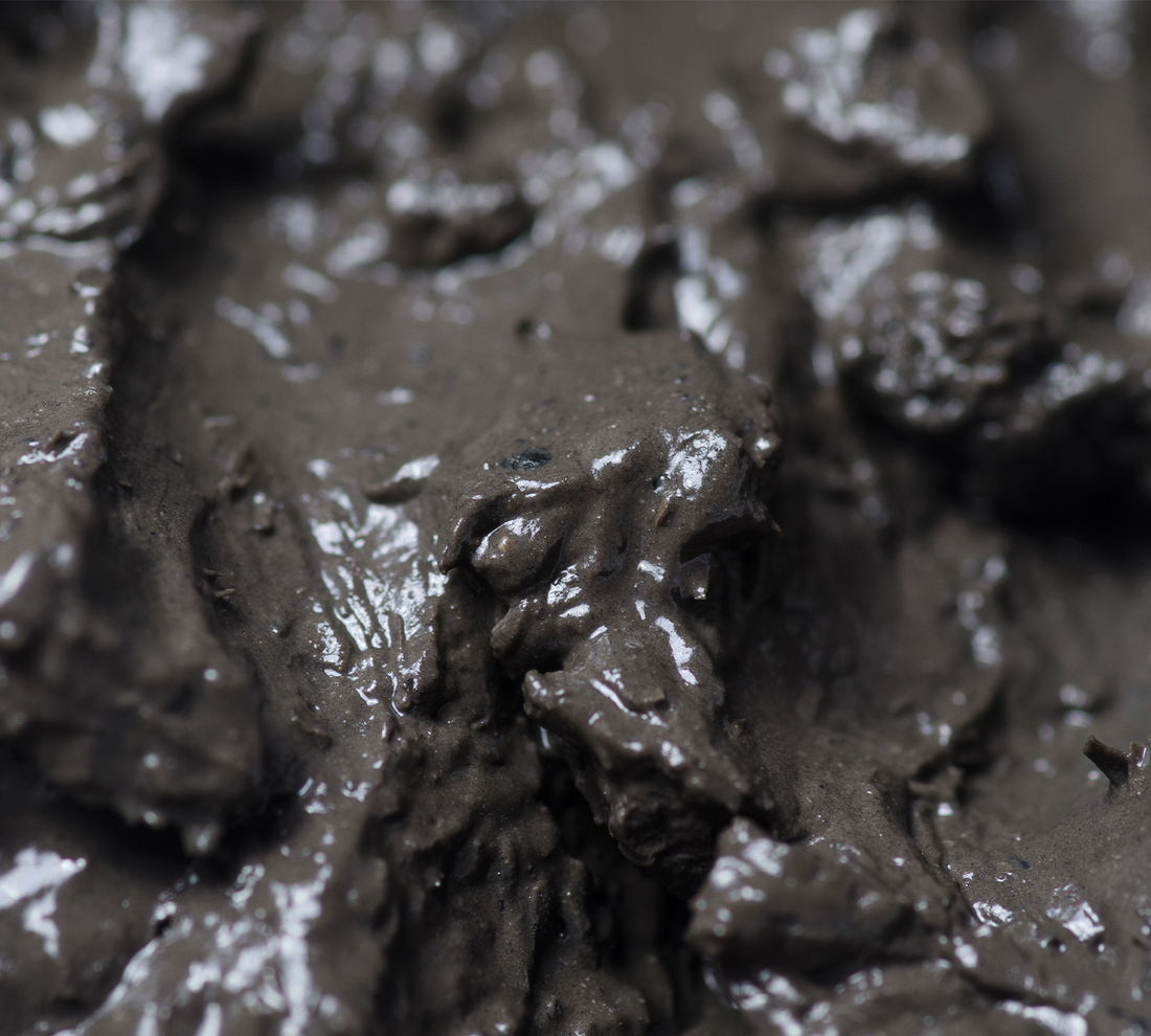 Dead Sea Mineral Mud