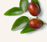 Jojoba Oil