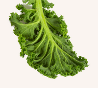 Kale