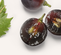 Resveratrol