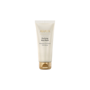 Purifying Mud Mask