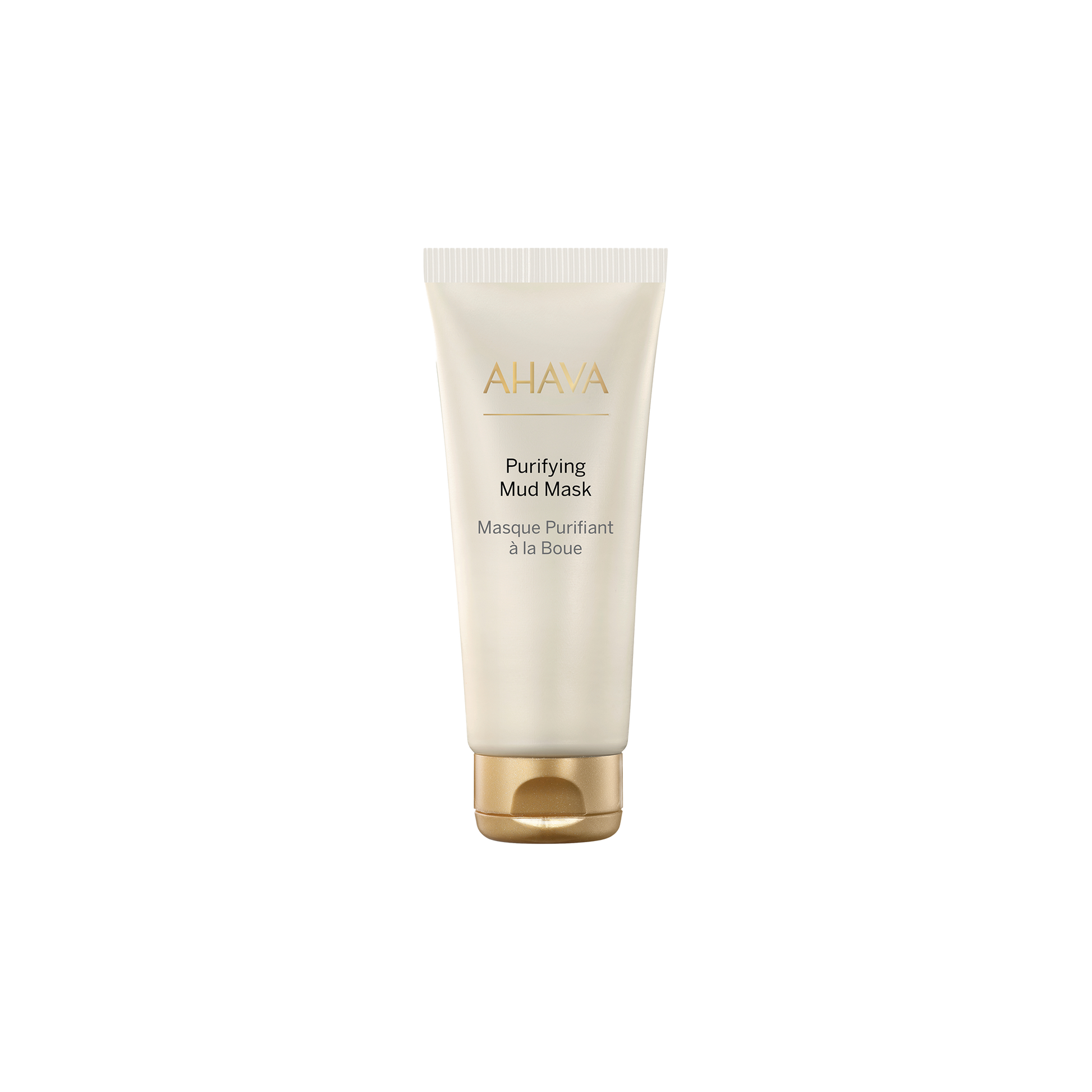 Purifying Mud Mask